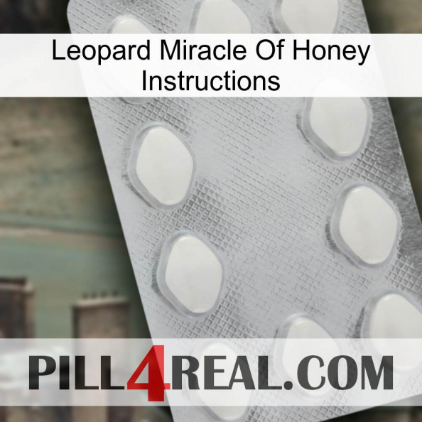 Leopard Miracle Of Honey Instructions 16.jpg